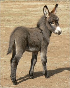 Click here to enlarge this picture.