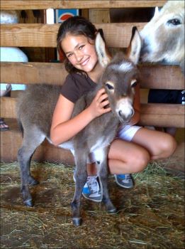 Click here to enlarge this picture.