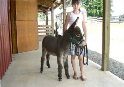 Click photo to enlarge image