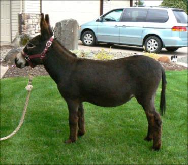 Click here to enlarge this picture.