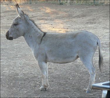 Click here to enlarge this picture.