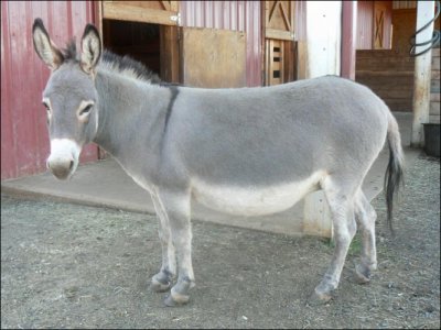 Click here to enlarge this picture.