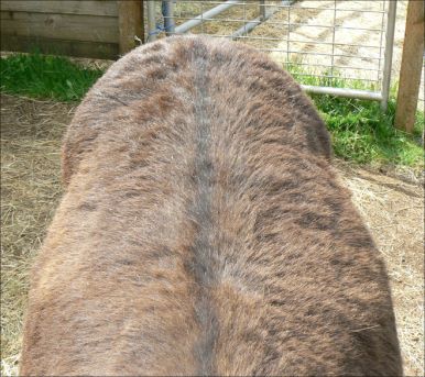 Click photo to enlarge image