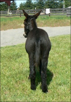 Click photo to enlarge image