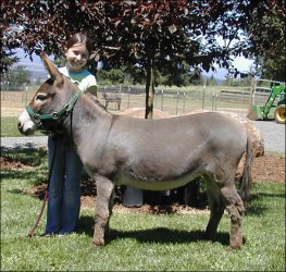 Click here to enlarge this picture.