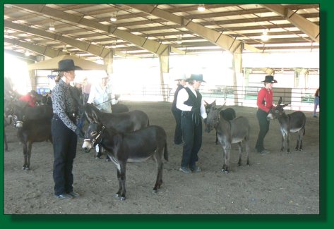 4th place Get-of-Sire '07 Nationals!!