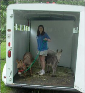 But I only came to buy one donkey!