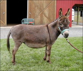 Click here to enlarge this picture.