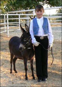 Click here to enlarge this picture.