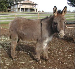 Click here to enlarge this picture.