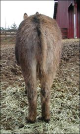 Click here to enlarge this picture.