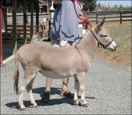 Click here to enlarge this picture.