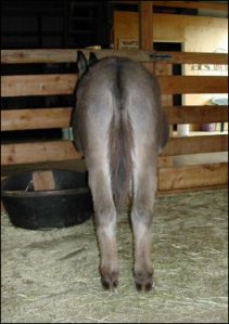 Click here to enlarge this picture.