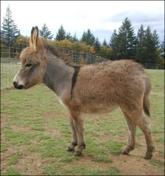 Click here to enlarge this picture.