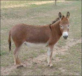 Click photo to enlarge