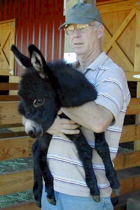 Grandpa finally gets to hold a baby!