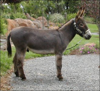 Click here to enlarge this picture.