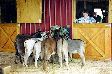 Click here to enlarge this picture.