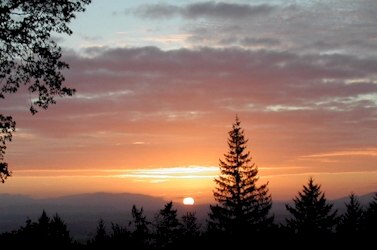 Click here to enlarge this picture.