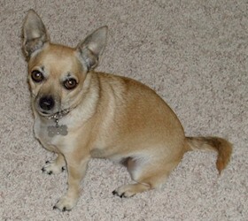 Click here to enlarge this picture.