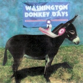 Click here to enlarge this picture.